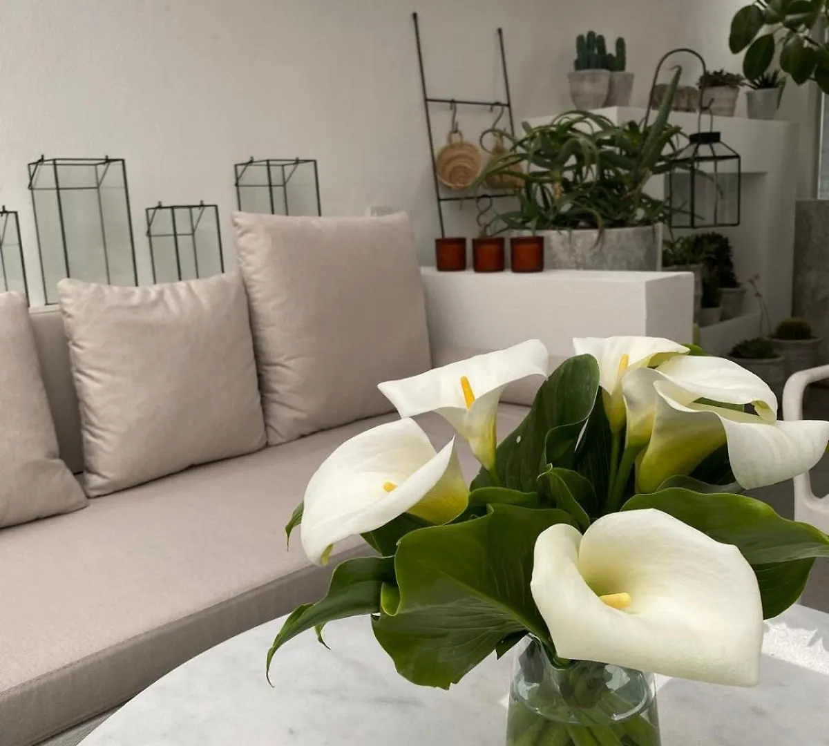 Design House In The Historic Center Of Sigacik Villa Seferihisar